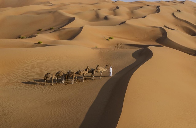 Anantara Qasr Al Sarab Resort & Spa photo 30