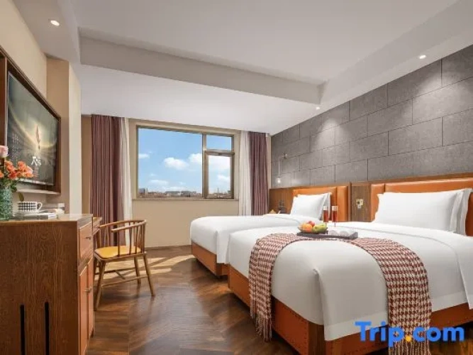 Business Double room with city view