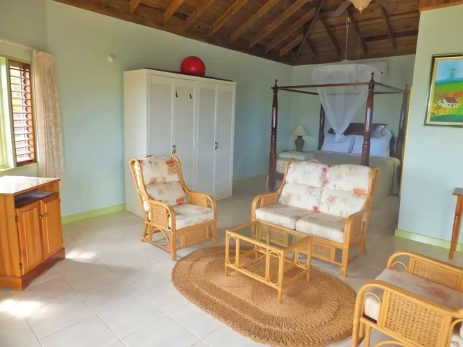 Superior Double room with garden view