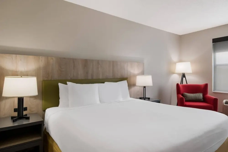 Standard Double room
