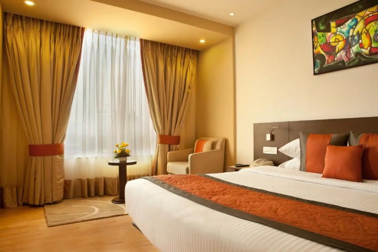 Executive Suite