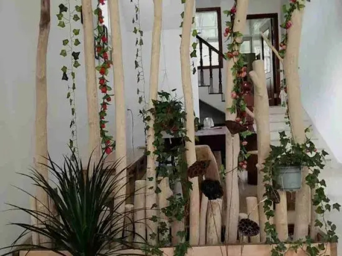 House Outside the Building