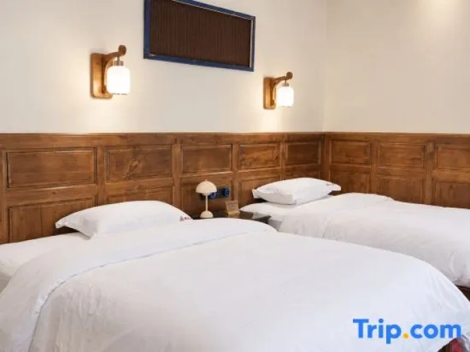 Standard Twin room with mountain view