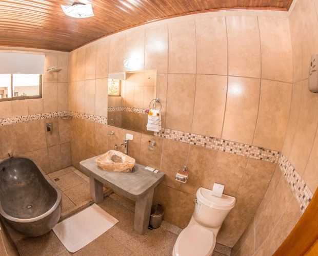 1 Bedroom Luxury Double room with balcony and with partial ocean view