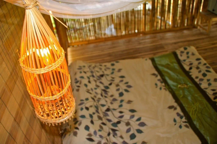 Nguyen Shack Ninh Binh
