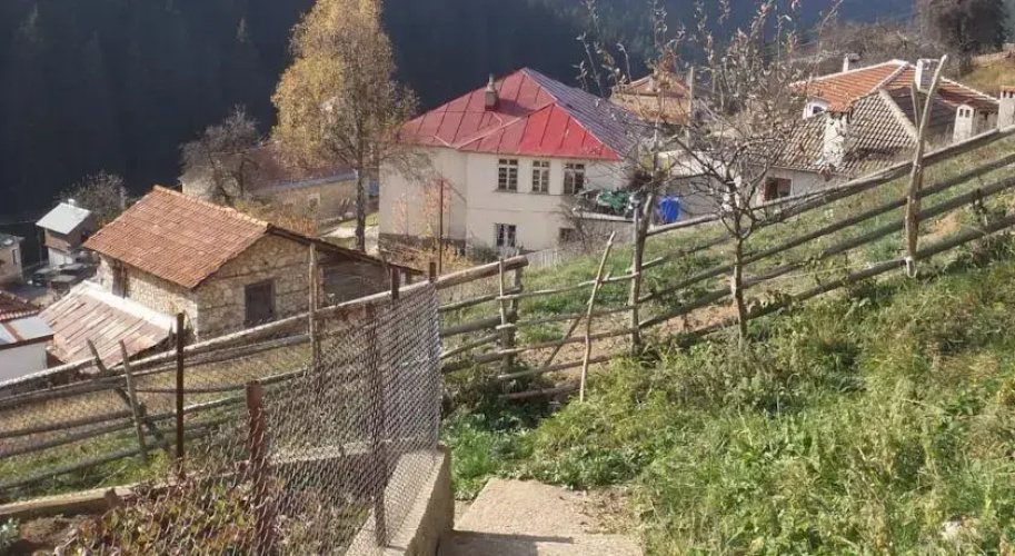 Milushevi House
