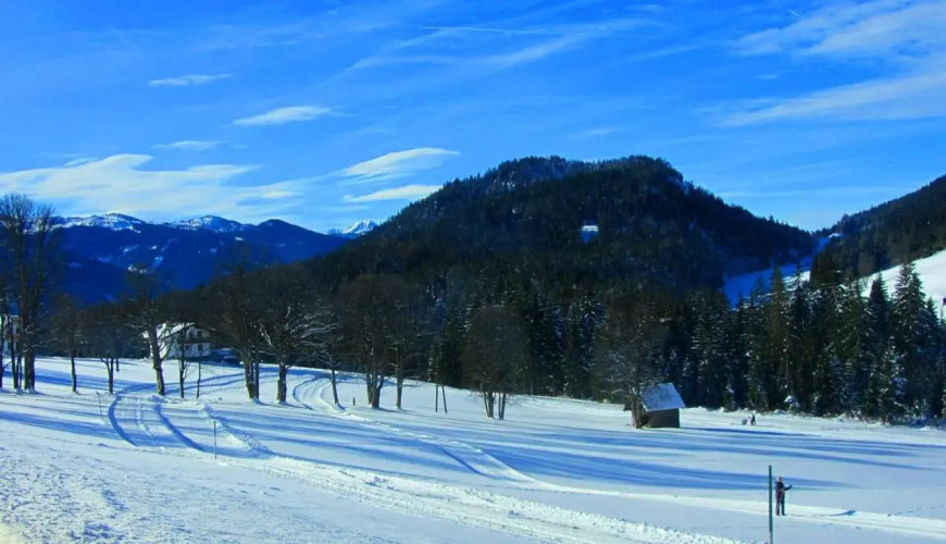 Haus Kartoner