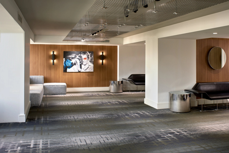 Kimpton Hotel Palomar Beverly Hills photo 18