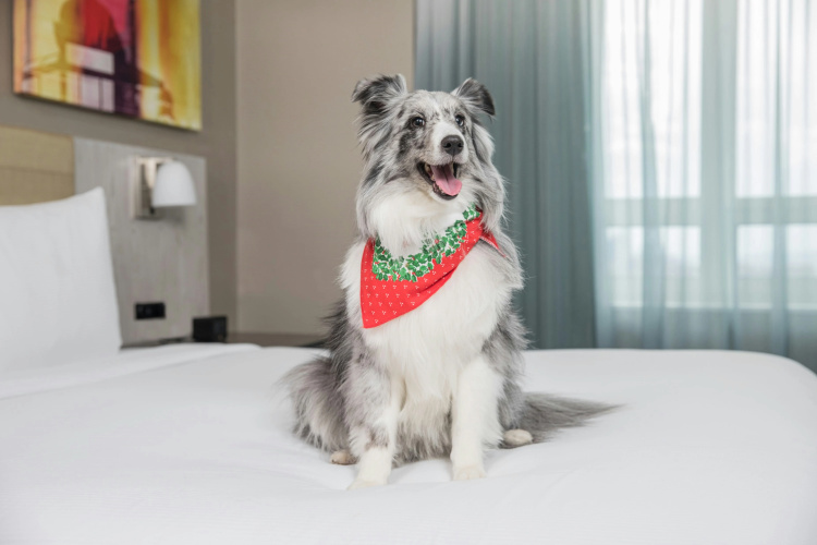 DoubleTree by Hilton Hotel New York Times Square West photo 6
