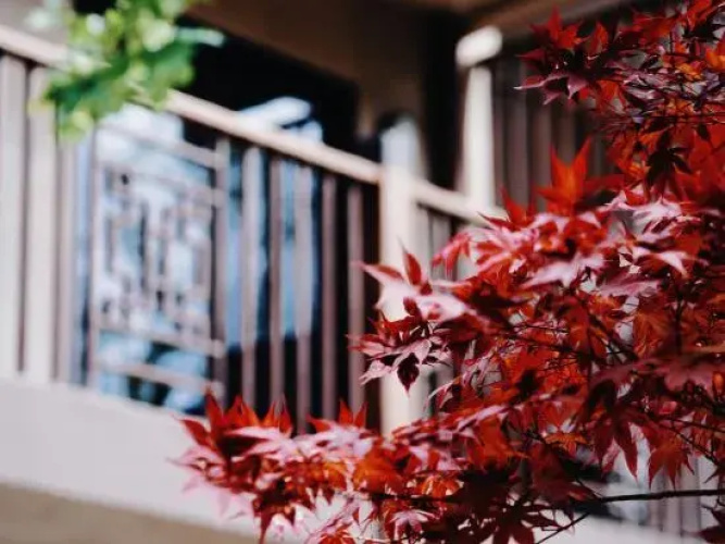 Joy Holiday Hotel Lijiang