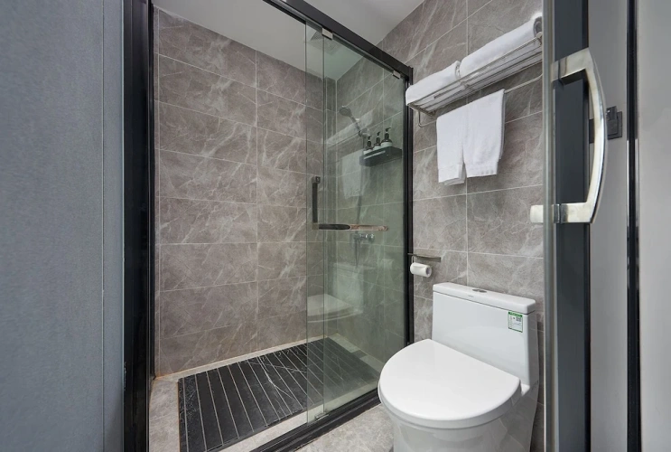 Deluxe Twin room with city view