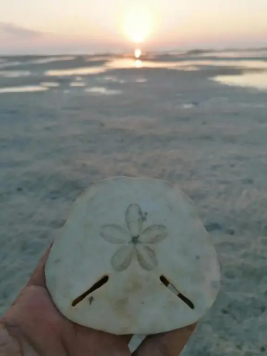 Masirah Beach camp