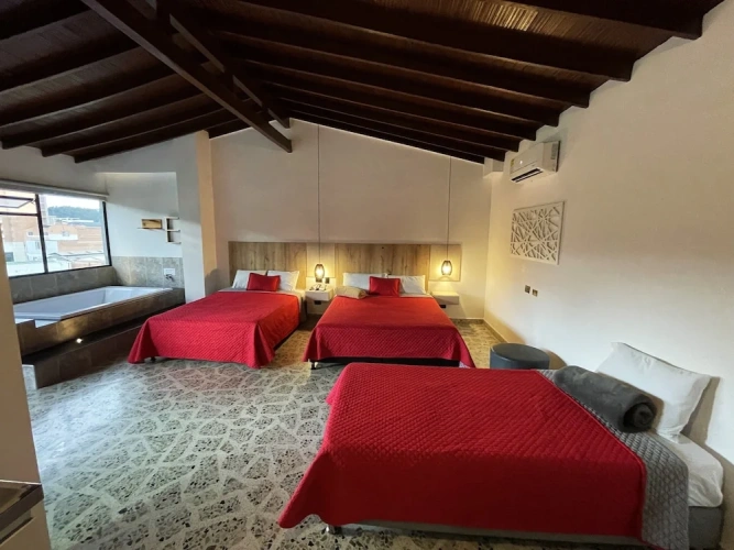 Deluxe Apartment