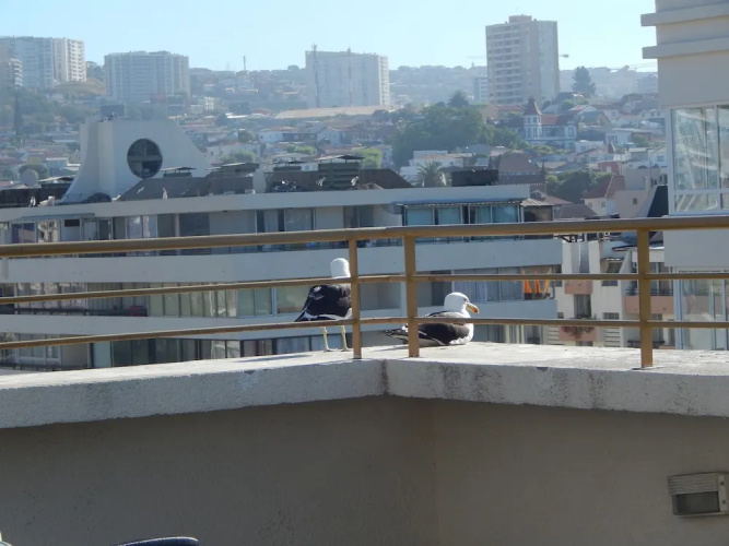 506 Departamento VS Centro Viña