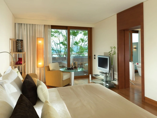 Luxury Villa with sea view