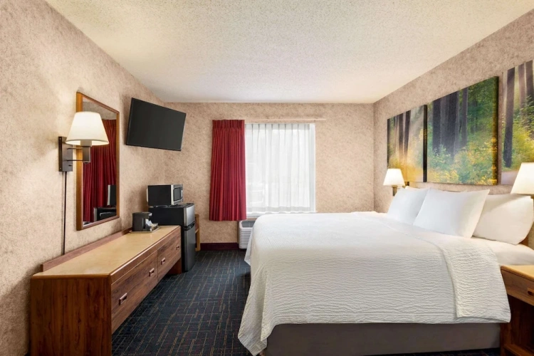 Double Studio Suite