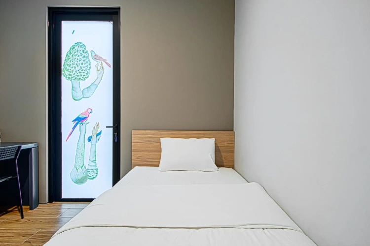 Standard Single room