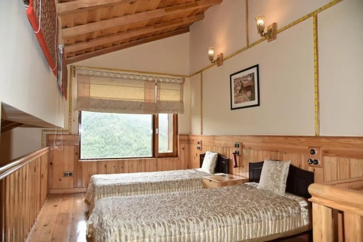 Deluxe Villa