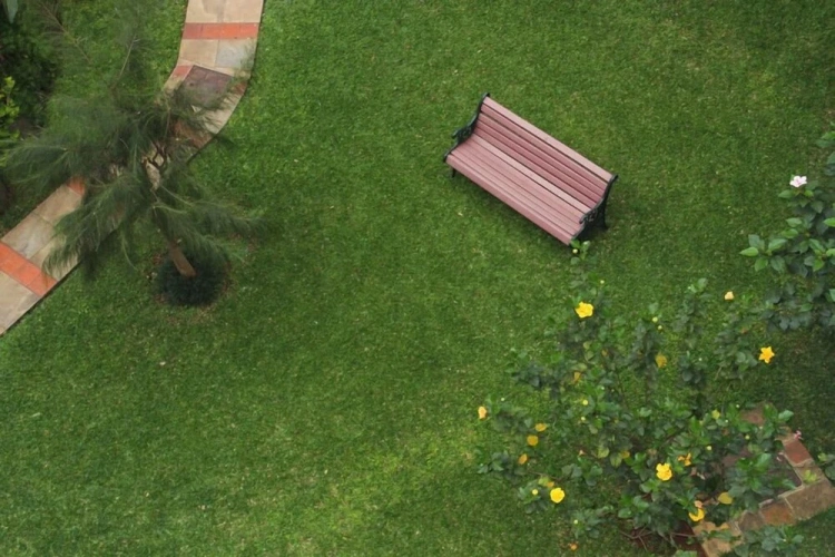 3 Bedrooms Apartment with garden view