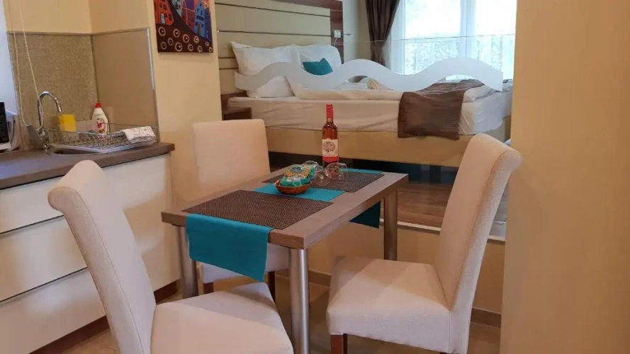 1 Bedroom Basement Apartment