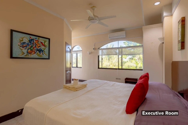 Executive Single room