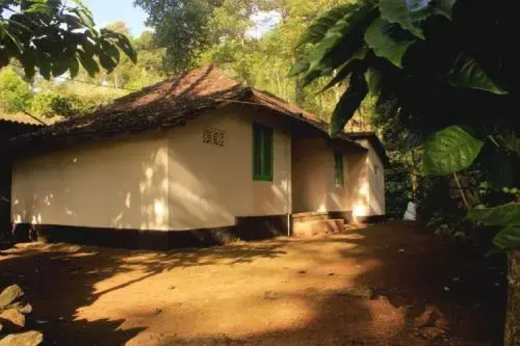 Verdant Vagamon