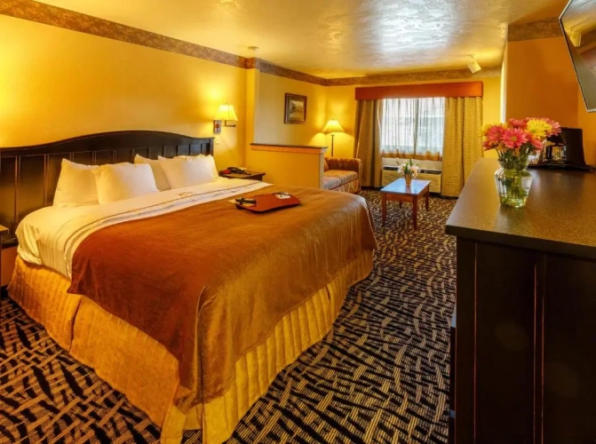 Double Suite