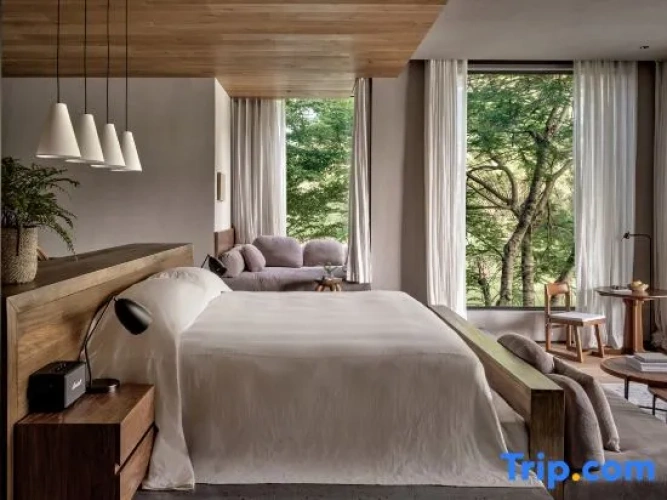 Double Family Suite