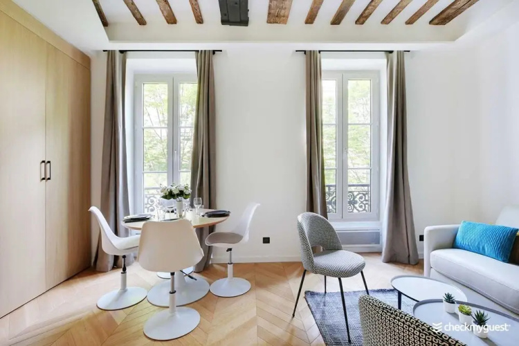 Magnificent Apartment in Le Marais