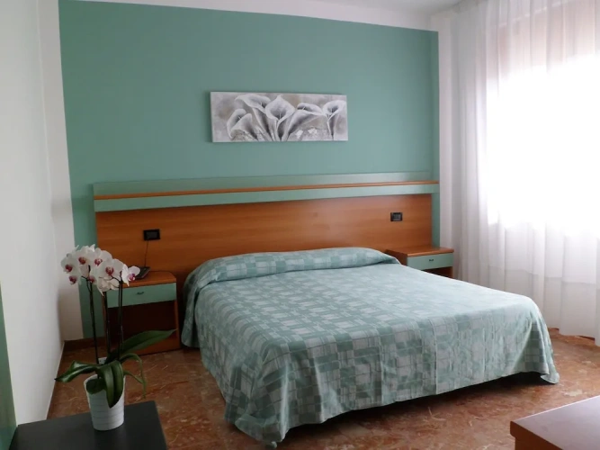 Standard Double room with balcony and with view