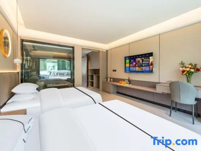 Standard Twin room with view