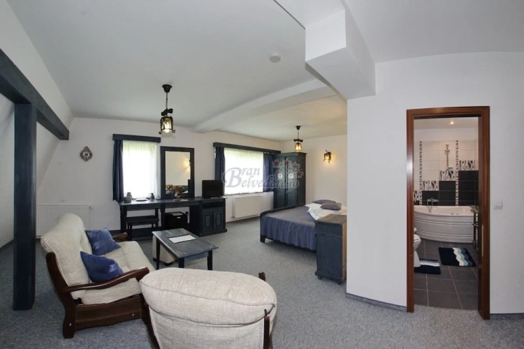 Luxury Suite