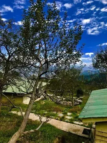 Apple Farms Kufri