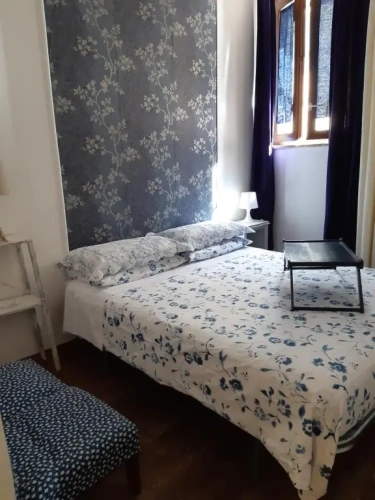 Standard Twin room with view