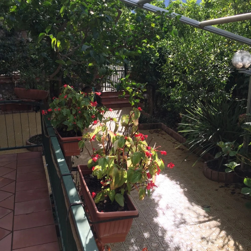 Comfortable apartment in Sorrento centre