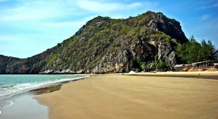 Tropical Seaview