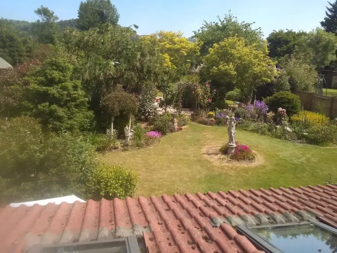 Standard Single room with garden view