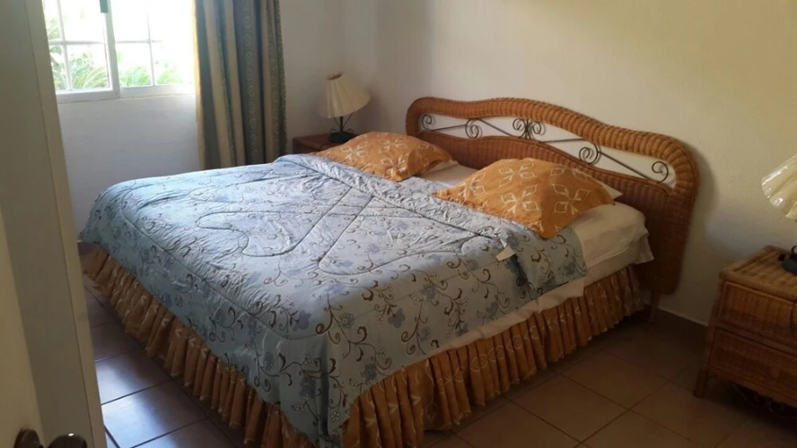 Paradise Villa in Palma Real