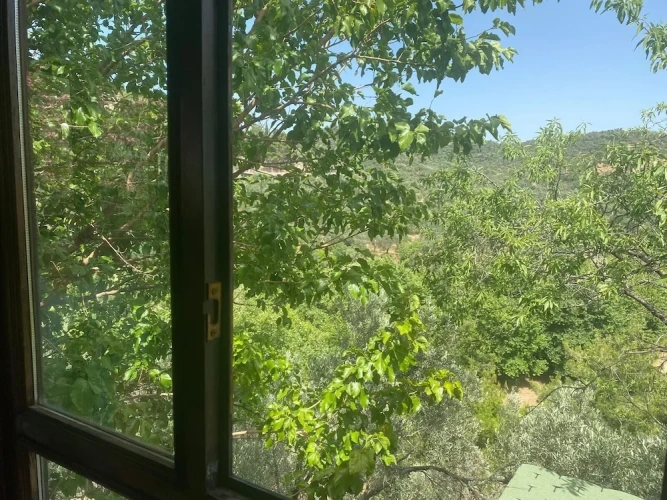 Standard room with mountain view