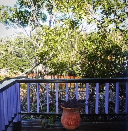 1 Bedroom Cottage