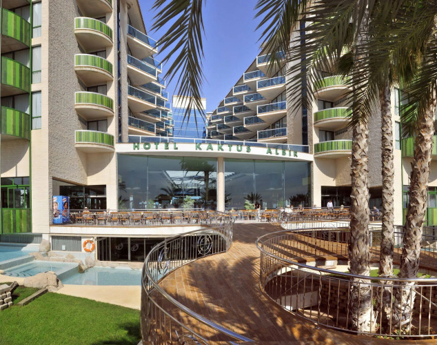 Kaktus Albir photo 32