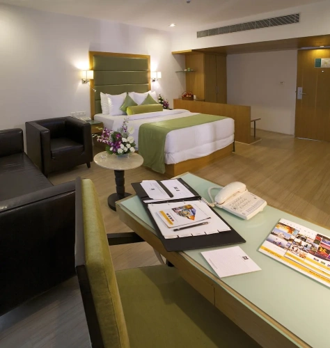 1 Bedroom Deluxe Double room with city view