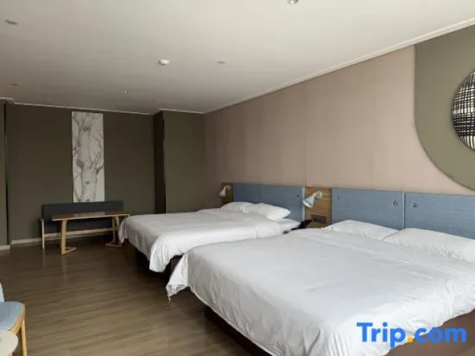 Standard Twin Family room