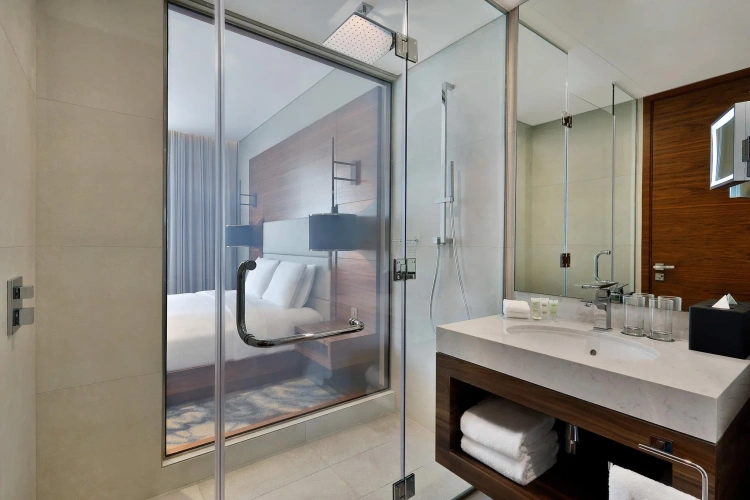 Standard Double room with city view