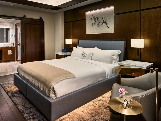 Luxury Suite