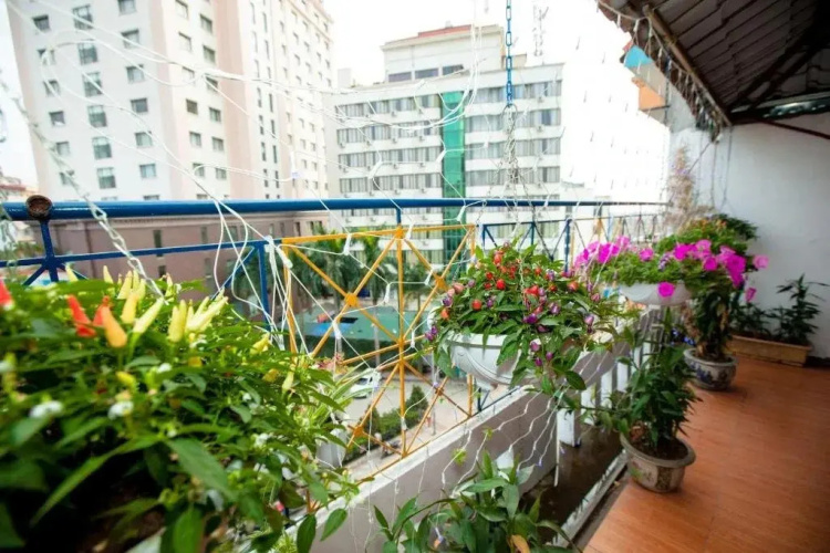 Halong Party Hotel