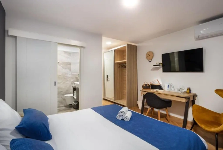 1 Bedroom Apartment