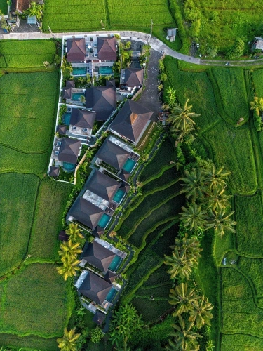 Standard Villa
