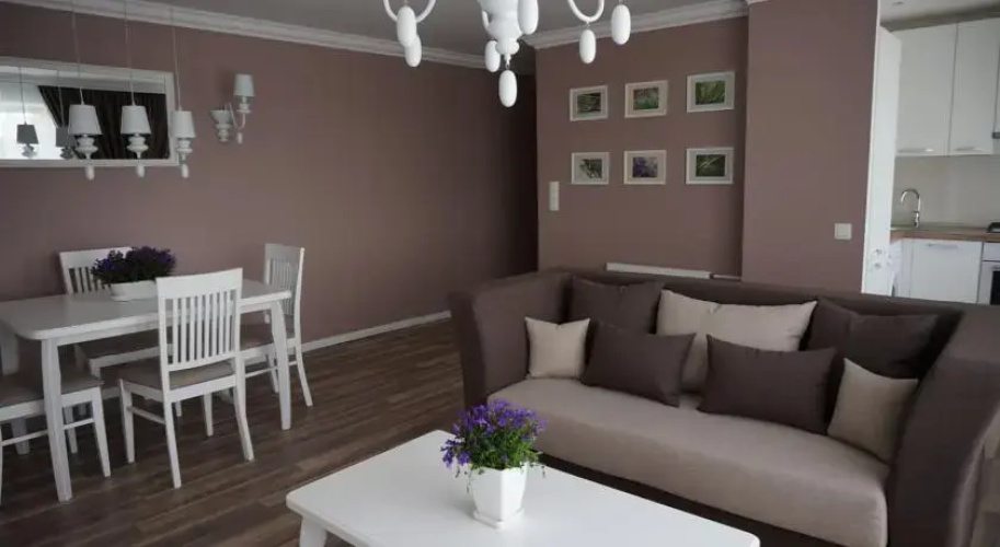 Central Apartament