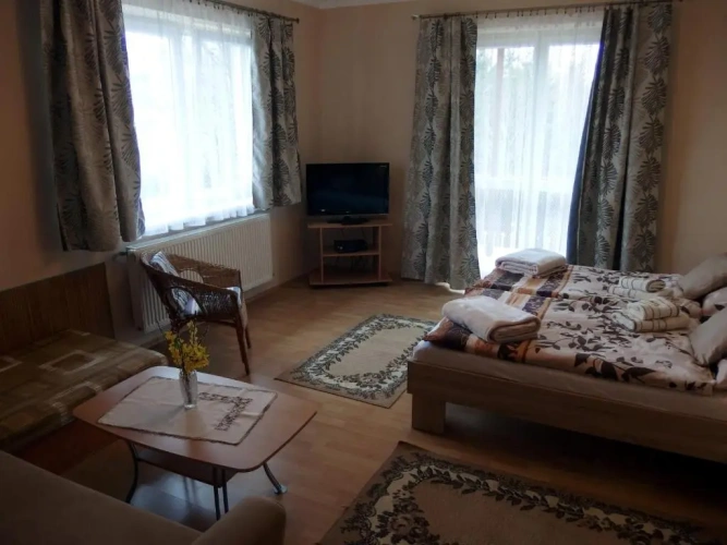 1 Bedroom Suite